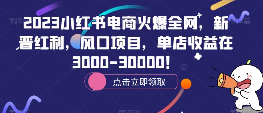 2023小红书电商火爆全网,新晋红利,风口项目,单店收益在3000-30000!