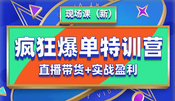 抖音短视频疯狂爆单特训营现场课(新)直播带货+实战案例