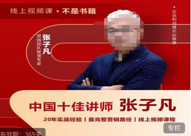 张子凡·20年实战经验,揭秘营销背后的底层逻辑,突破思维局限,从根本上破解营销难题