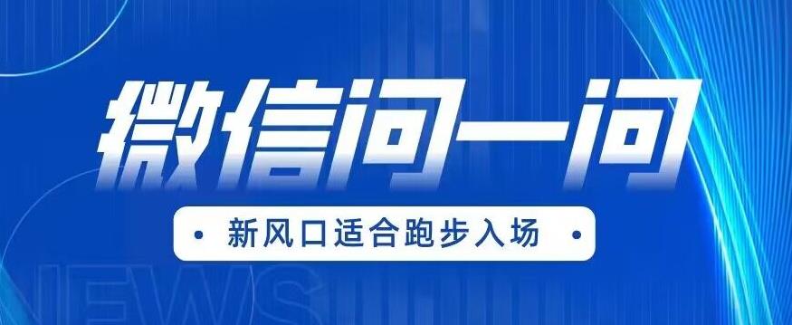 全网首发微信问一问新风口变现项目(价值1999元)【揭秘】