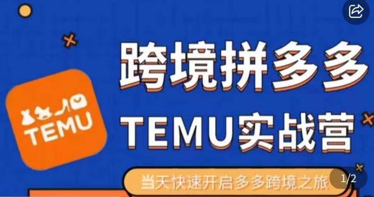 大鹏出海·拼多多跨境temu运营指导,开店注册+选品+核价上架,日出千单实战课