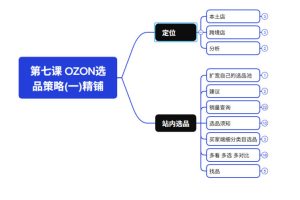 2026最新OZON全流程运营实操跨境电商平台教程，OZON全流程一站式系统学习必修课，从开店到跟卖到精铺