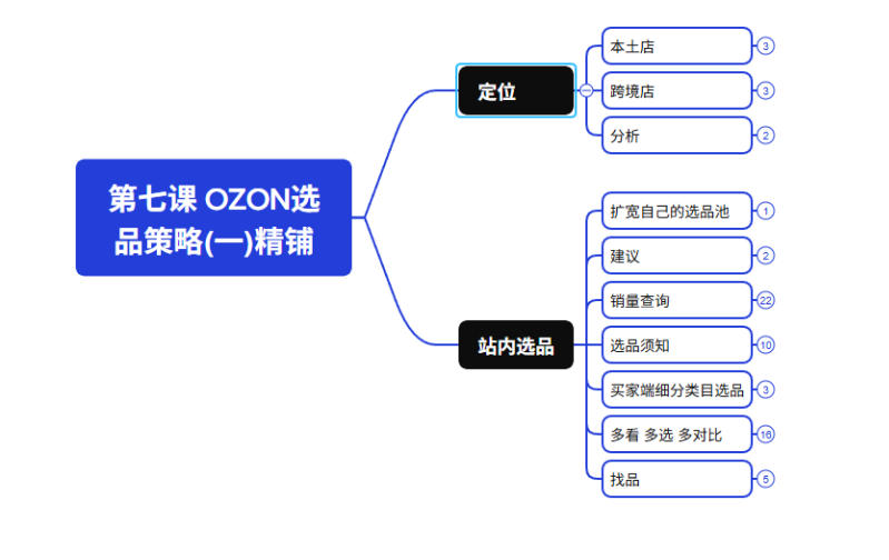 2026最新OZON全流程运营实操跨境电商平台教程,OZON全流程一站式系统学习必修课,从开店到跟卖到精铺插图1 2026最新OZON全流程运营实操跨境电商平台教程,OZON全流程一站式系统学习必修课,从开店到跟卖到精铺