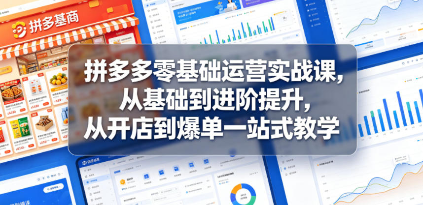 拼多多零基础运营实战课,从基础到进阶提升,从开店到爆单一站式教学插图 拼多多零基础运营实战课,从基础到进阶提升,从开店到爆单一站式教学