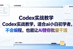 Codex实战教学，适合ai小白初学者，不会编程，也能让AI替你批量干活