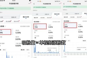 苗子起号涨粉实战变现训练营，多类目零基础爆款起号、精准起号节奏、新手稳涨粉可落地变现全课（更新0719）