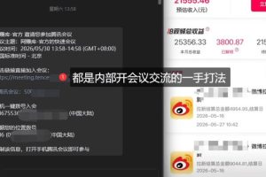 微博蓝海项目1.0_各种Sao操作整理+AI引流拆解，喂饭级教学