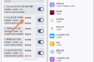 仅3 MB，GKD安卓手机必备神器，一键跳过开屏广告告别烦人信息，附近10000+条跳广告规则！