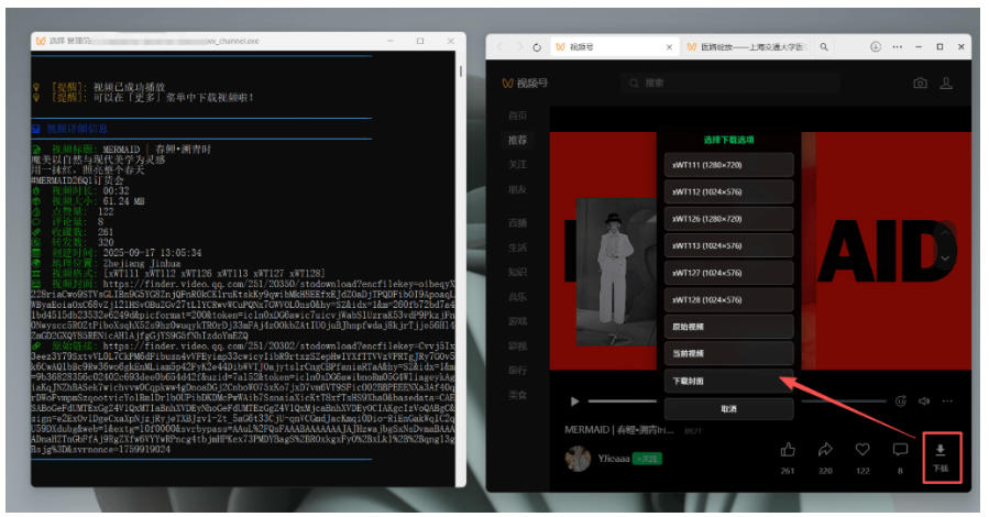 Github热门工具,视频号下载神器又来了!一键注入下载按钮,轻松下载,使用便捷wx_channel插图3 Github热门工具,视频号下载神器又来了!一键注入下载按钮,轻松下载,使用便捷wx_channel