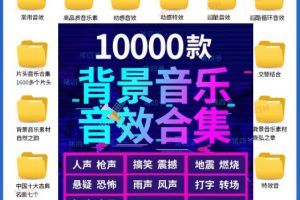 宝藏级音效素材包！10000+款背景音乐音效素材合集，自然片头婚礼会议常用音效包，分类清晰