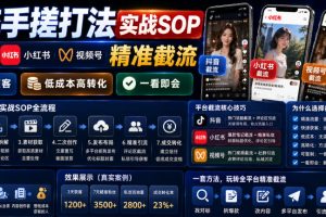 截流手搓打法实战SOP，抖音小红书视频号精准截流，快速获客，低成本高转化，一看即会
