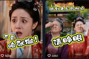 婆媳家庭AI短剧全套教学丨起号快，热门吸引女性粉丝，商单广告、橱窗带货、收徒裂变、伙伴分成等
