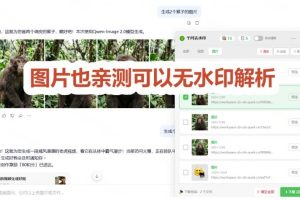 太香了！这款千问视频/图片去水印神器，一键搞定烦人水印，本地完全免费，浏览器拓展插件