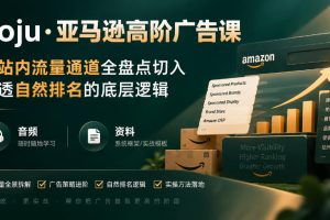 亚马逊高阶广告课，从站内流量通道全盘点切入，讲透自然排名的底层逻辑（直播+音频+资料）