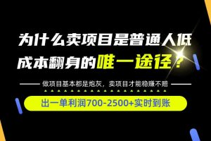 普通人如何靠互联网賺取自己的第一桶金！全类目实操型教学，看完你全都懂了！【揭秘】